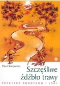 Szczęśliwe źdźbło trawy