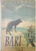 Bari. Syn szarej wilczycy