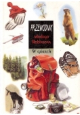 Przewodnik młodego Robinsona w górach