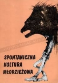Spontaniczna kultura młodzieżowa. Wybrane zjawiska.