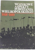 Wojskowe aspekty powstania wielkopolskiego 1918-1919