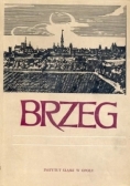 Brzeg dzieje gospodarka kultura