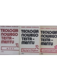 Teologia Nowego Testamentu Tom od I do III