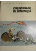 Ognisko w dżungli