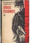 Uwaga piegowaty