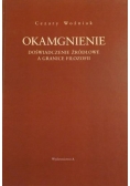 Okamgnienie