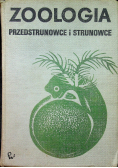 Zoologia Przedstrunowce i strunowce