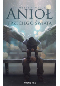Anioł trzeciego świata