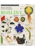 Ilustrowane Słowniki Rośliny
