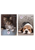 Teczka z gumką A4 The Sweet Pets mix