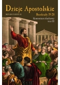 Dzieje Apostolskie rozdziały 19-28, Tom III