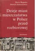Dzieje miast i mieszczaństwa w Polsce przedrozbiorowej
