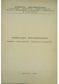 Powstanie wielkopolskie