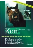 Koń. Dobre rady i wskazówki