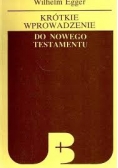 Krótkie wprowadzenie do Nowego Testamentu