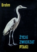 Życie zwierząt. Ptaki