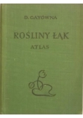 Rośliny łąk atlas