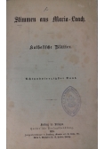 Stimmen aus Maria-Laach, 1895 r.