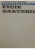 Życie bakterii