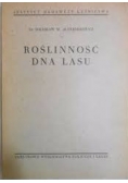 Roślinność dna lasu
