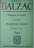 Komedia Ludzka Tom XXII Studia filozoficzne