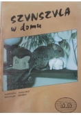 Szynszyla w domu