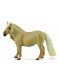 Klacz Falabella Mare Palomino