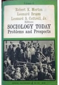 Sociology today problems and prospects
