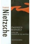 Zmierzch bożyszcz czyli jak filozofuje się młotem