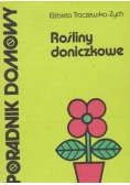 Rośliny doniczkowe