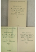 Słownictwo Kociewskie tom 1 do 3
