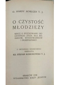 O czystość młodzieży, 1928 r.