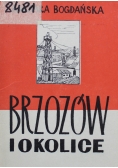 Brzozów i okolice