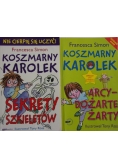Koszmarny Karolek, 2 książki