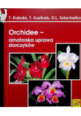 Orchidee amatorska uprawa storczyków