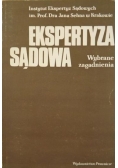 Ekspertyza sądowa Wybrane zagadnienia