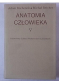 Anatomia człowieka V