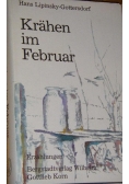 Krahen im Februar