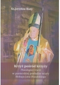 Krzyż pośród krzyży
