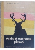 Odstrzał zwierzyny płowej
