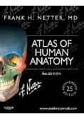 Atlas of Human Anatomy
