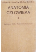 Anatomia człowieka Tom I