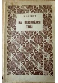Na bezdrożach Tajgi