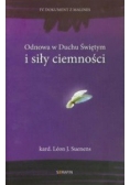 Odnowa w Duchu Świętym i siły ciemności