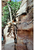 Echo Ewangelii 8
