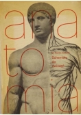 Schematy do ćwiczeń z anatomii człowieka