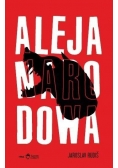 Aleja Narodowa