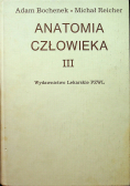 Anatomia człowieka III