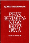 Pieśń bezimiennego krzyżowca
