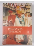 Pielgrzymka do ojczyzny